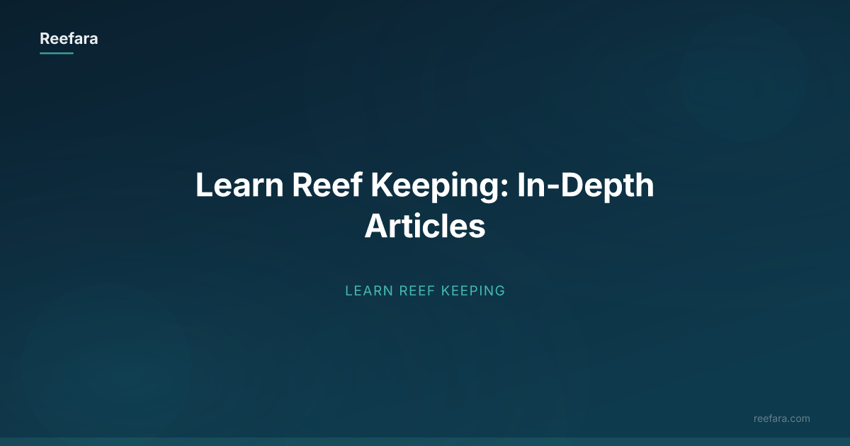 Learn Reef Keeping: In-Depth Articles | Reefara