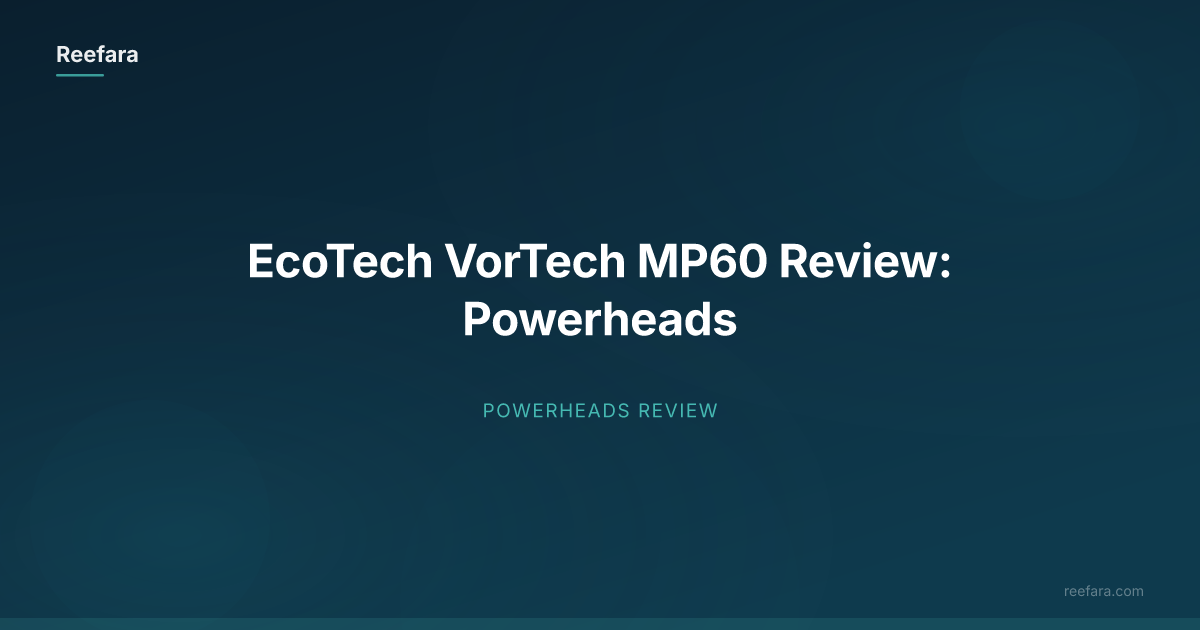 EcoTech VorTech MP60 Review: Powerheads | Reefara