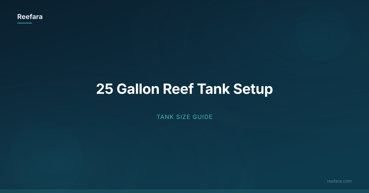 25 Gallon Reef Tank Setup | Reefara